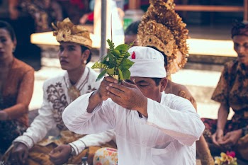 Man Holding Leaves