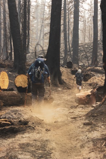 Man Holding Metal Detectors Walking on Forest during Day