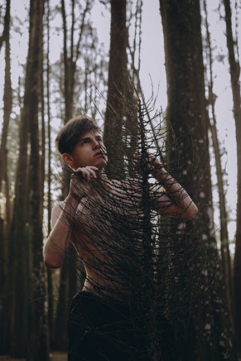 Man Holding Onto Tree