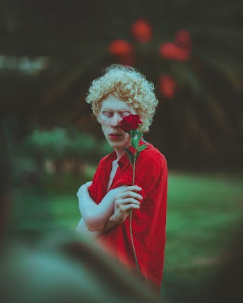 Man Holding Red Rose