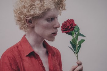 Man Holding Red Rose