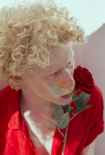Man Holding Red Rose