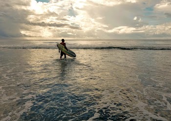 Man Holding Surfboard on Body of Water