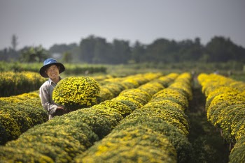 Man Holding Yellow Flowers