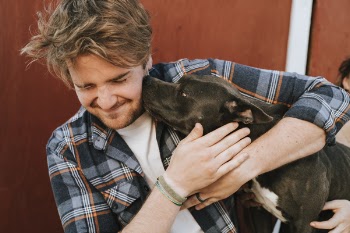 Man Hugging American Pit Bull Terrier Puppy Close-up Photo