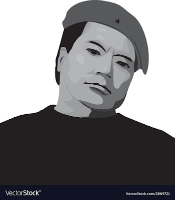 Man in a beret vector image