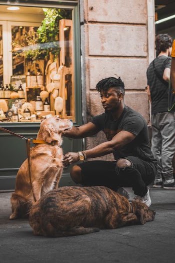 man in black crew-neck t-shirt petting golden retriever at the street