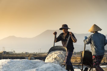 Man In Black Hat Holding Wheelbarrow