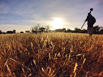 Man in Black Long Sleeve Shirt Holding Camera Tripod Walking on Wheat Fields at Daytime