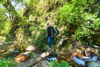 Man in Black Shirt, Green Jacket and Blue Denim Jeans Crossing Log Footbridge over Creek