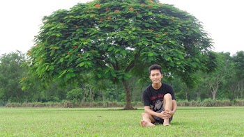 Man in Black Shirt Sitting on Grass Field