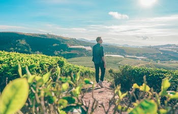 Man in Blue and Black Checkered Dress Shirt Standing Near Green Leafed Plants