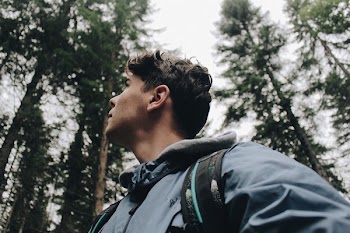 Man in Blue Hooded Jacket Under Tall Trees