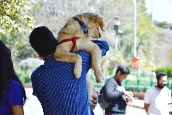 Man In Blue Long-sleeved Shirt Carrying Dog