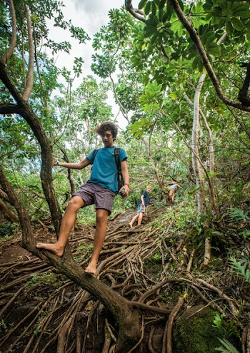 Man in Blue T-shirt Standing on Tree Trunk