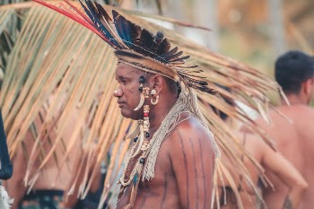 Man in Brown and Black Feather Headdress