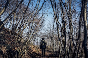 Man in Middle of Forest