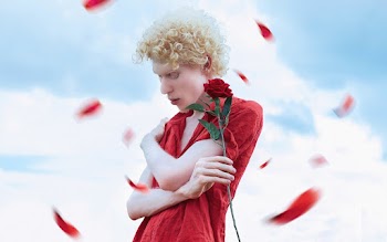 Man in Red Polo Shirt Holding Red Rose