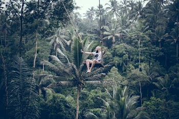 Man in Swing Near Tall Green Trees