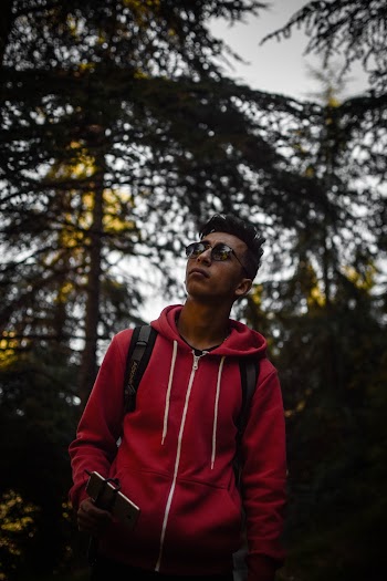 Man in the Forest Looking Up