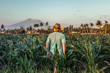 Man In The Middle Of Field