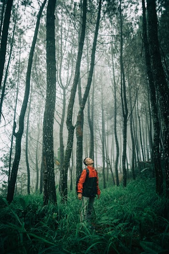 Man in Woods