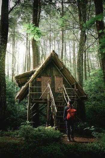 man infront of wooden house in the middle of dense forest