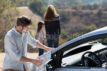 Man looking at map on car at sunny roadside