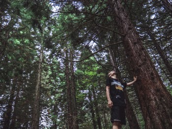 Man Looking at the Top of Tree