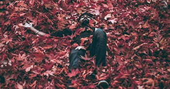 Man Lying on Bed of Maple Leaves