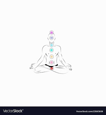 Man meditate chacras vector image
