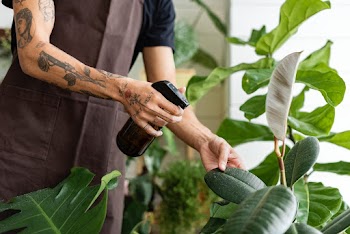 Man misting plants with a water spray at a… | Free stock photo | High Resolution image