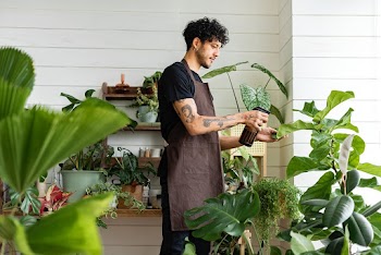 Man misting plants with a water spray | Free stock photo | High Resolution image