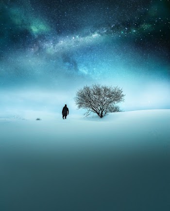 Man Near Bare Tree at Night