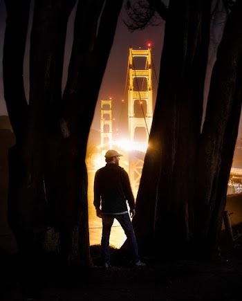 Man Near tree trunks