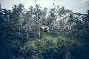 Man On A Swing