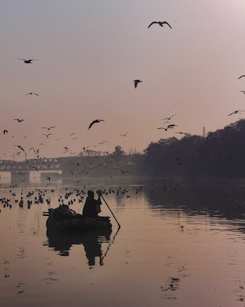 Man on Boat Paddling
