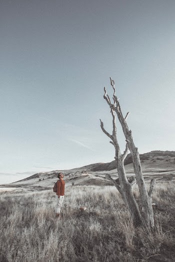 Man on Field