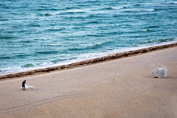 man on white sand