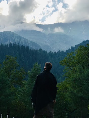 Man Overlooking Forest