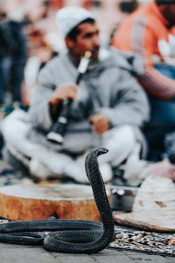 man playing wind instrument