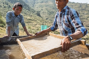 Man producing Lokta bark paper, | Free Photo - rawpixel
