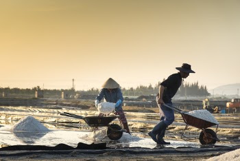 Man Pushing Wheelbarrow 