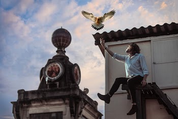 Man Reaching for Eagle