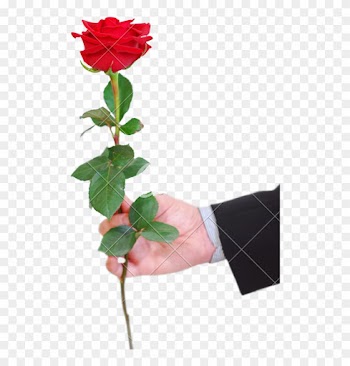 Man Red Rose - Give A Red Rose