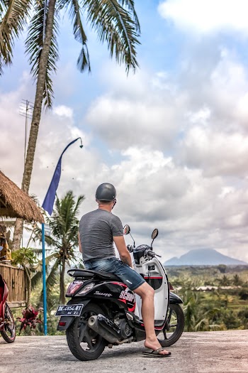 Man Riding A Motor Scooter Parked Near Coconut Tree