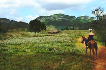 Man Riding Brown Horse Near Green Field during Daytime