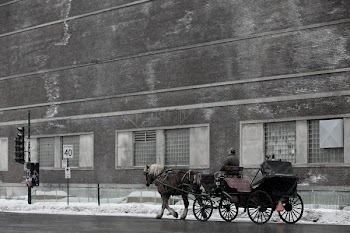 man riding carriage with horse near building