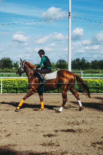 Man Riding Hors