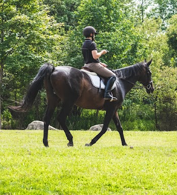 Man Riding Horse